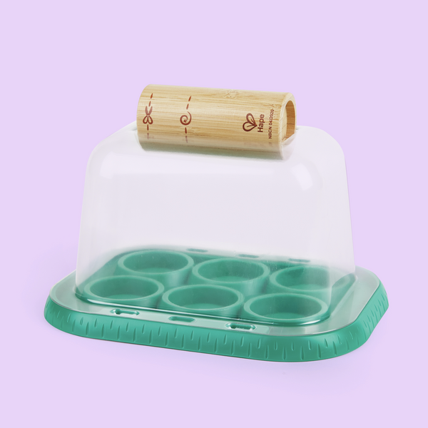 Serre pour apprentis jardiniers Serre pour apprentis jardiniers