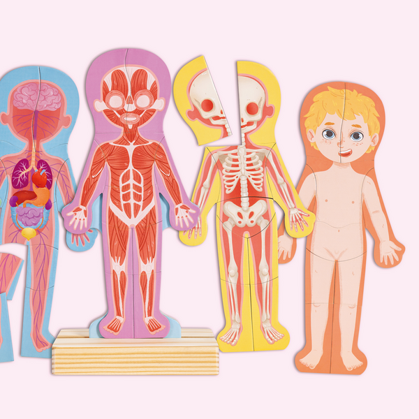 Puzzle aimanté - assemble le corps humain Puzzle aimanté - assemble le corps humain
