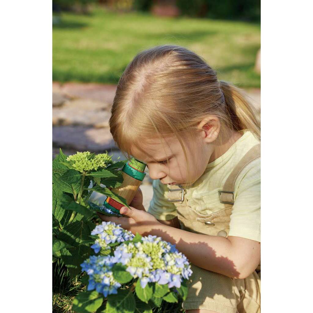 Microscope en bambou Microscope en bambou