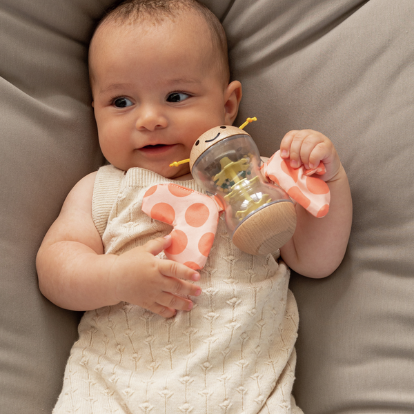 Bâton de pluie papillon Bâton de pluie papillon