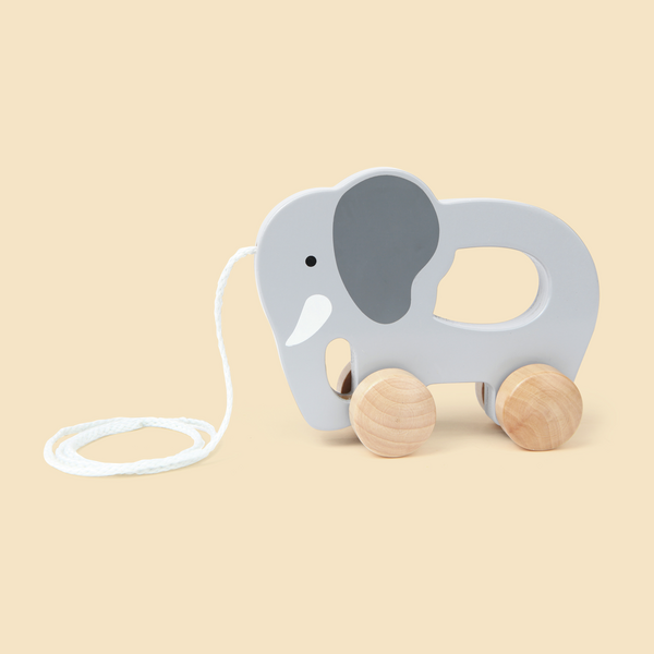 Éléphant à promener Éléphant à promener