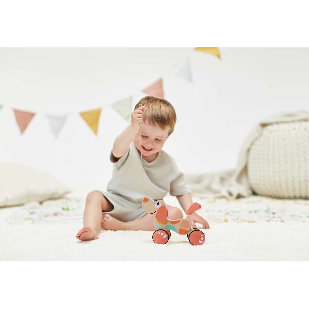 Chien Puppy - édition limitée Chien Puppy - édition limitée