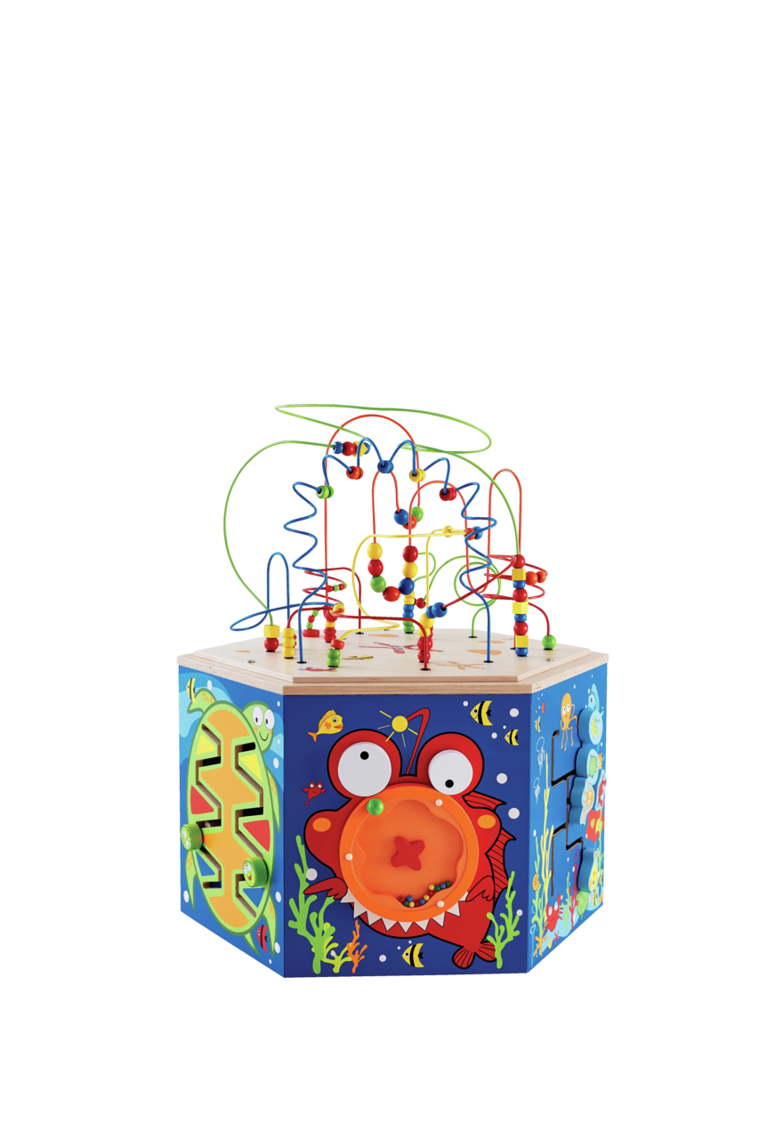 Cube d'activités - barrière de corail Cube d'activités - barrière de corail