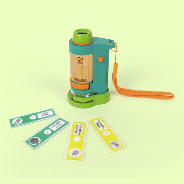 Microscope en bambou Microscope en bambou