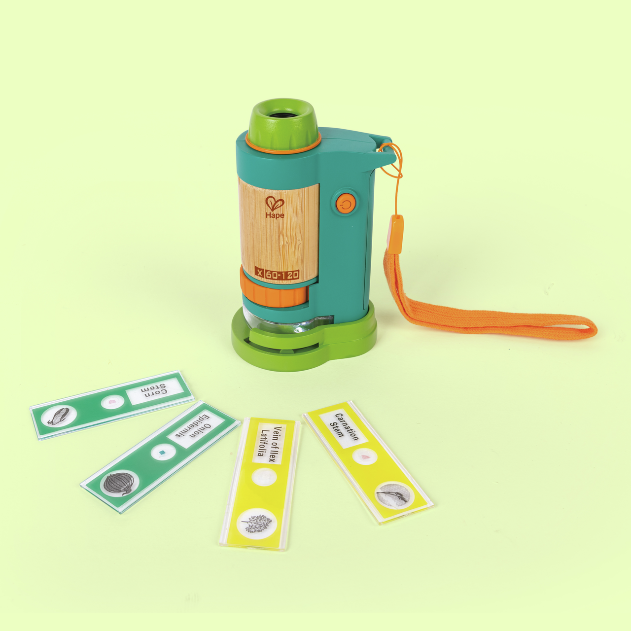 Microscope en bambou Microscope en bambou