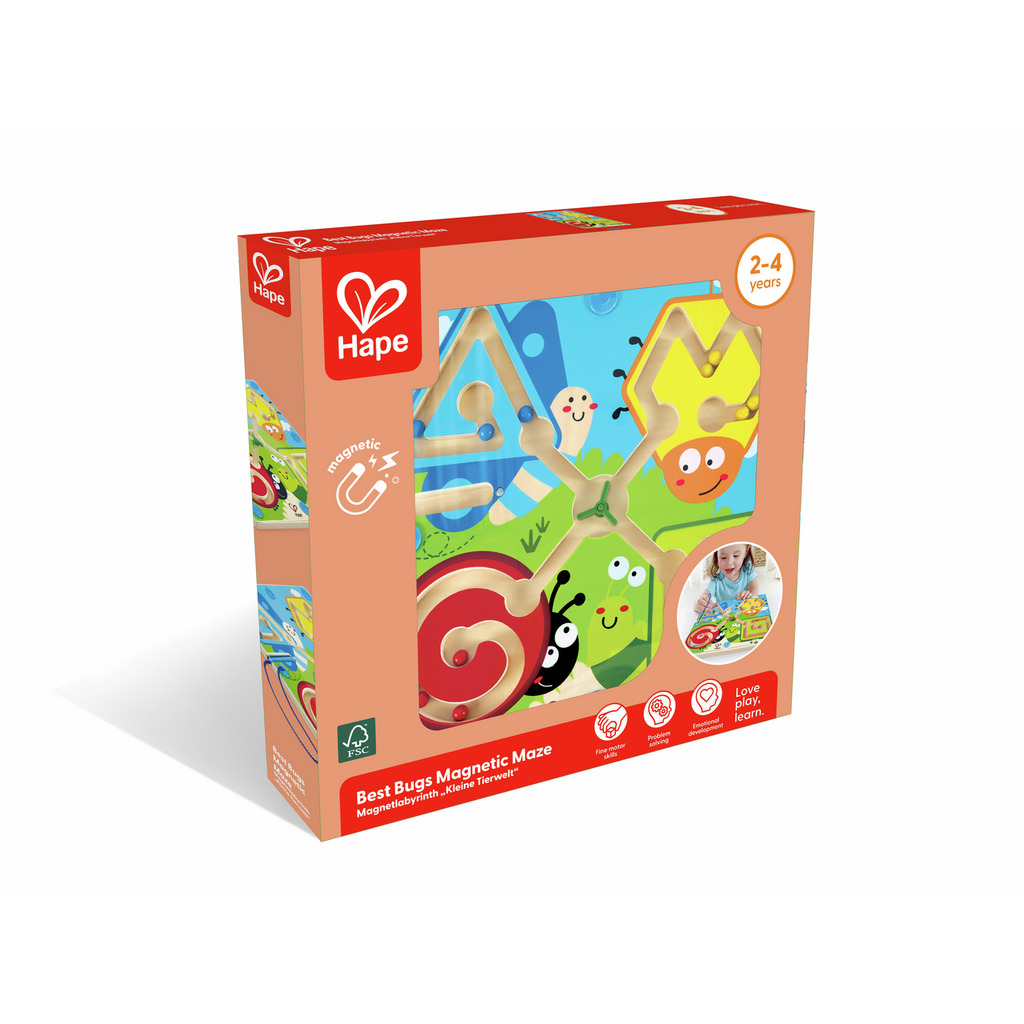 Labyrinthe magnétique insectes Labyrinthe magnétique insectes