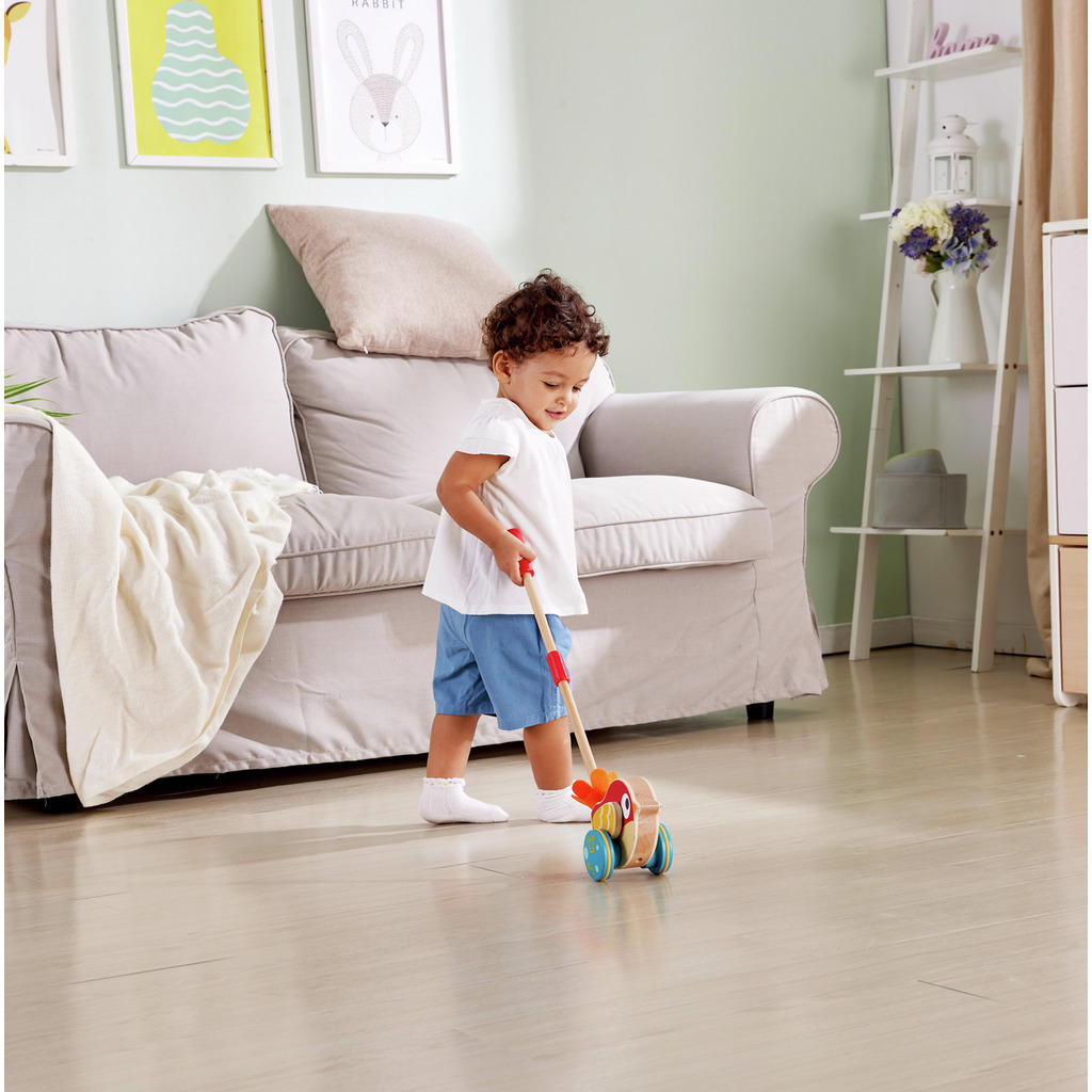 Oiseau Lilly musical à pousser Oiseau Lilly musical à pousser