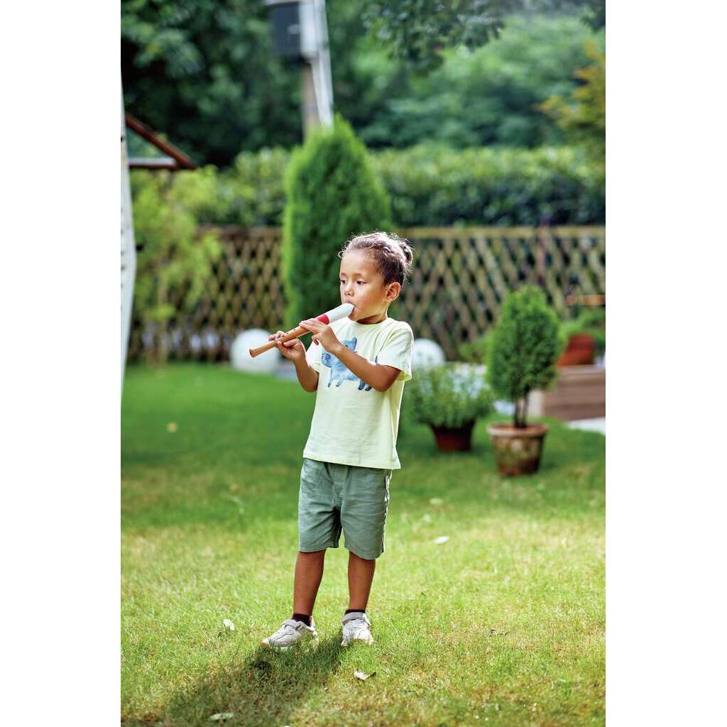 Flûte à bec d'apprentissage Flûte à bec d'apprentissage