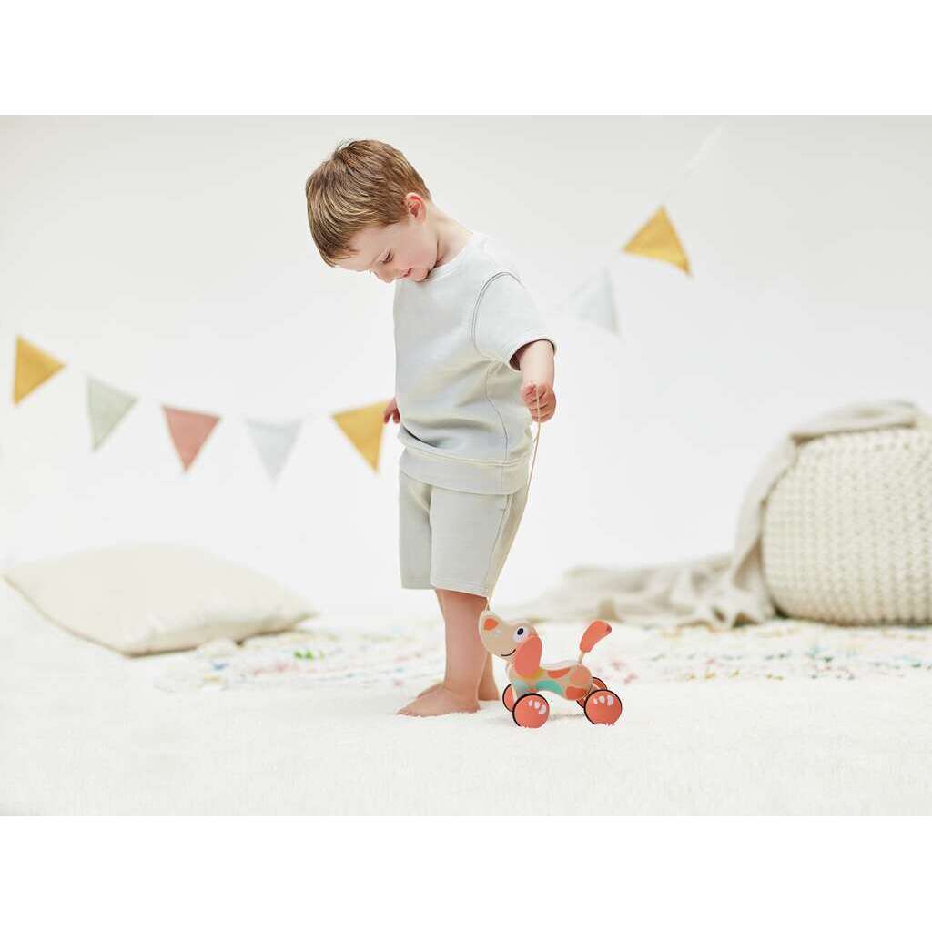 Chien Puppy - édition limitée Chien Puppy - édition limitée