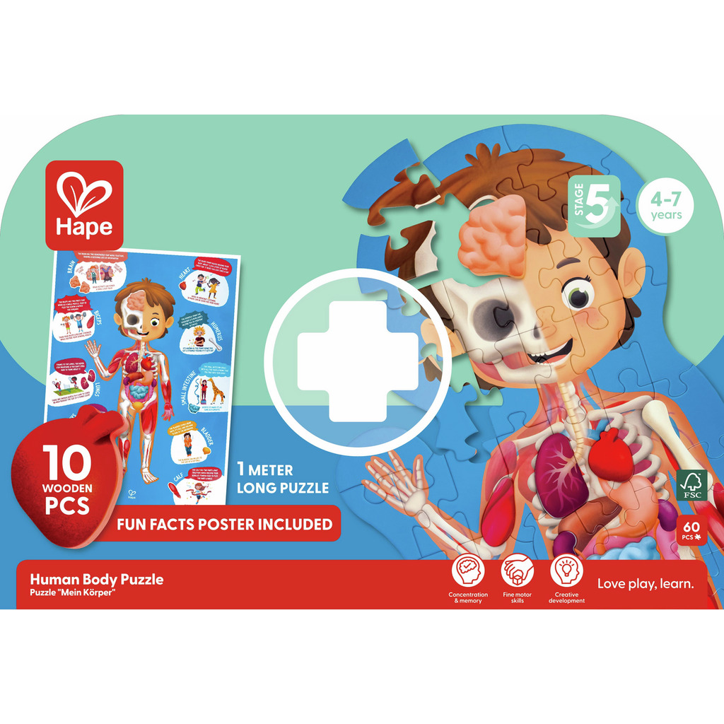 Puzzle corps humain Puzzle corps humain