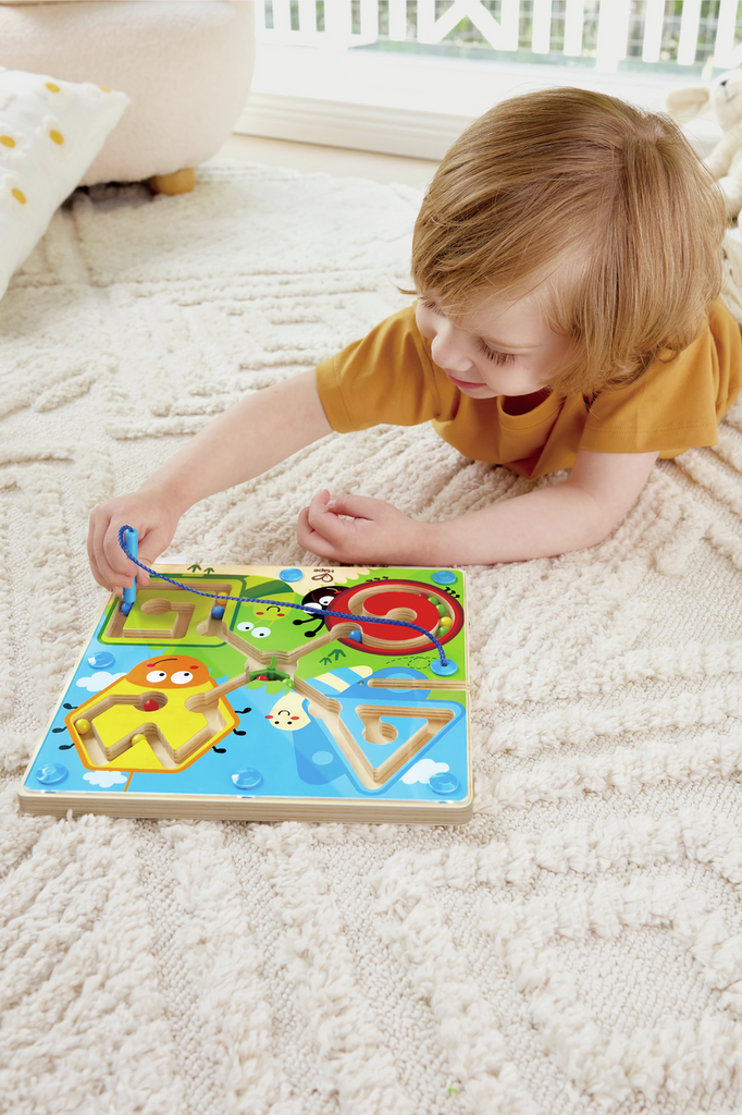 Labyrinthe magnétique insectes Labyrinthe magnétique insectes