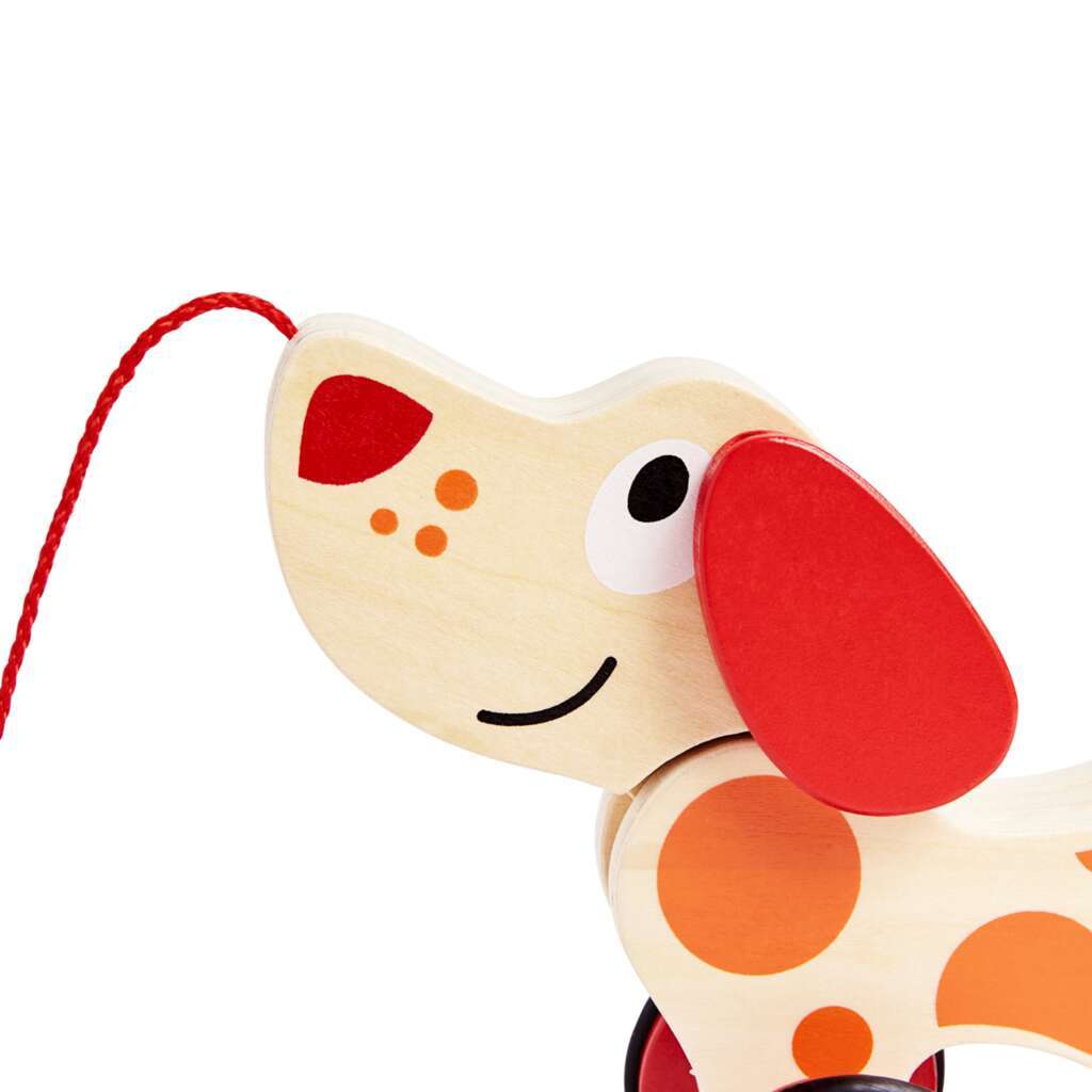 Chien Puppy à promener Chien Puppy à promener