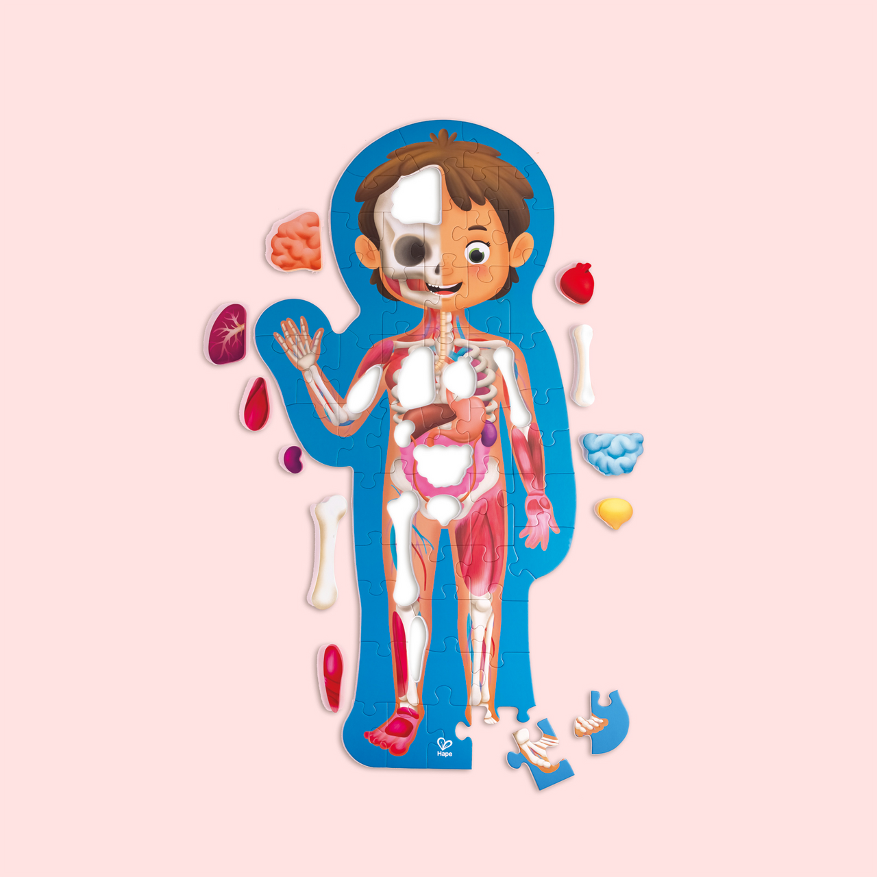 Puzzle corps humain Puzzle corps humain