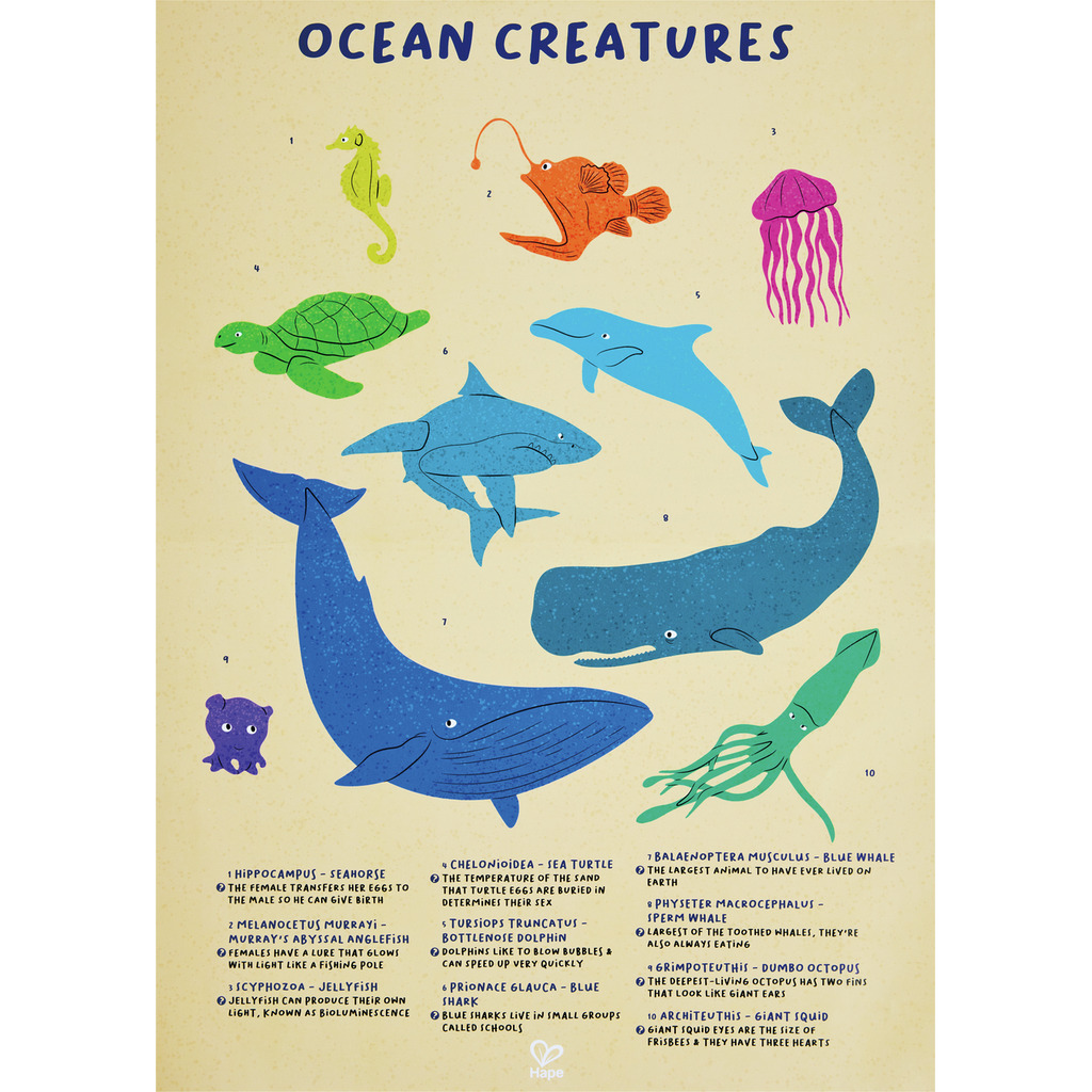 Puzzle géant baleine (200 pcs) Puzzle géant baleine (200 pcs)