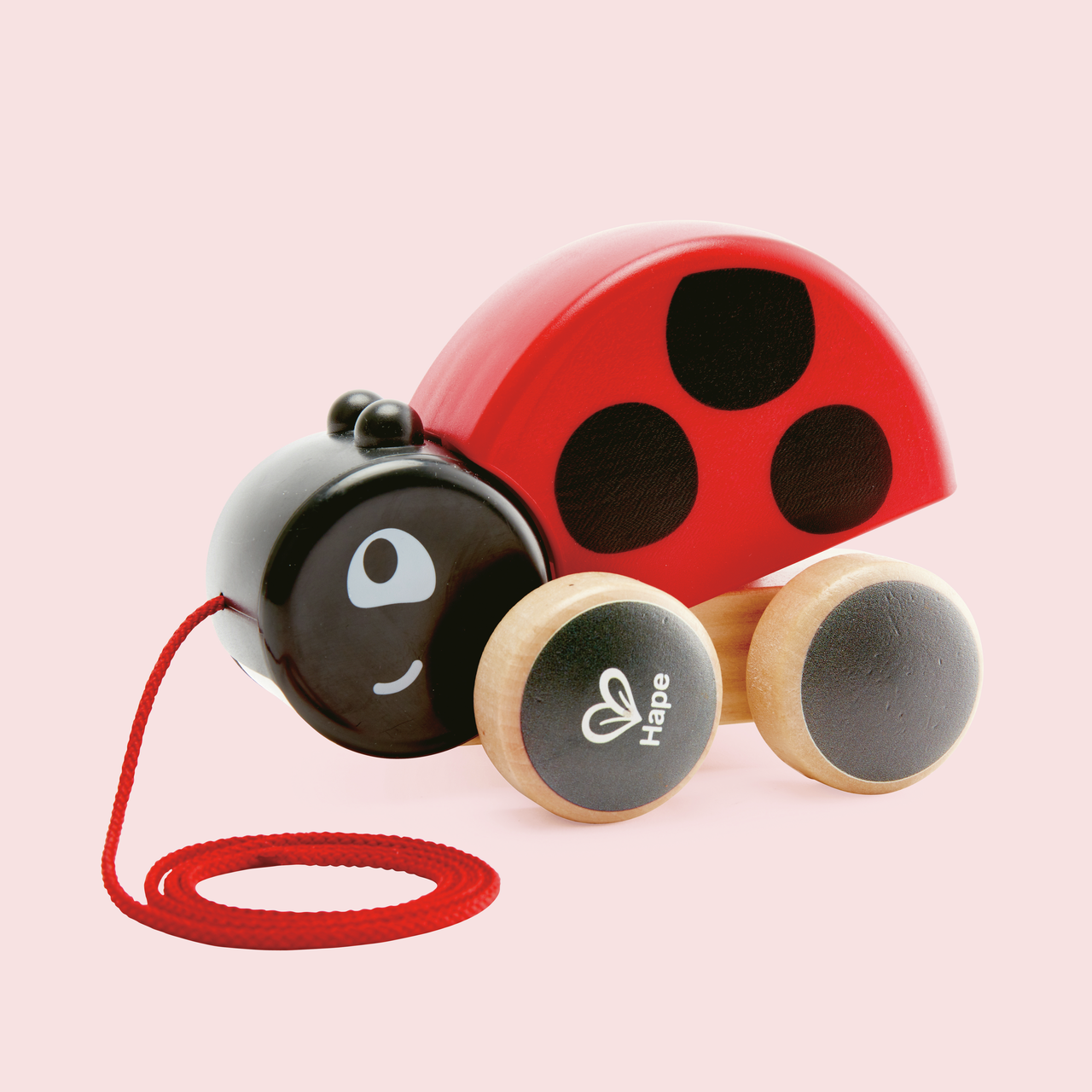 Coccinelle à promener Coccinelle à promener