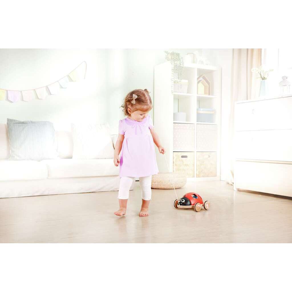 Coccinelle trieuse de formes à promener Coccinelle trieuse de formes à promener