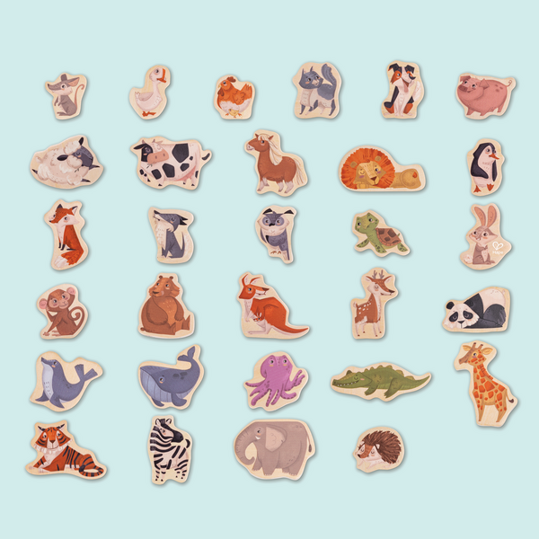 Animaux magnétiques Animaux magnétiques