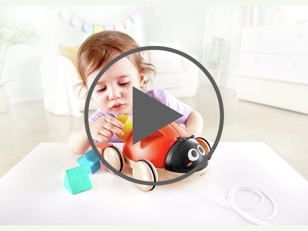 Coccinelle trieuse de formes à promener Coccinelle trieuse de formes à promener