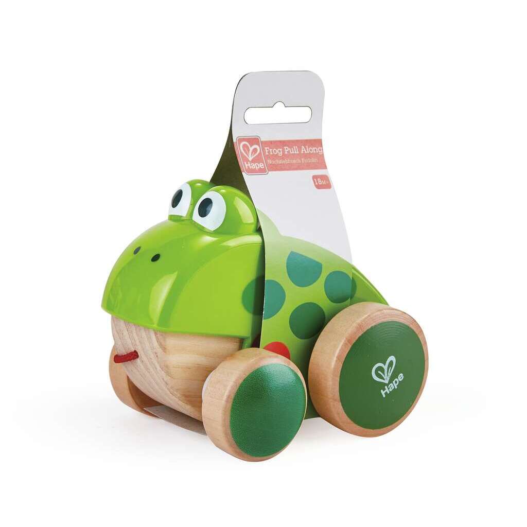 Petite grenouille à promener Petite grenouille à promener