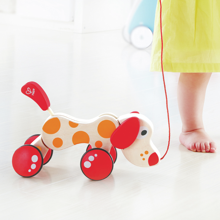 Chien Puppy à promener Chien Puppy à promener