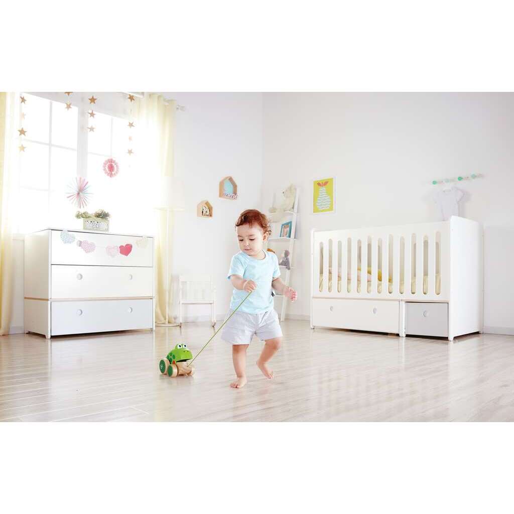 Petite grenouille à promener Petite grenouille à promener